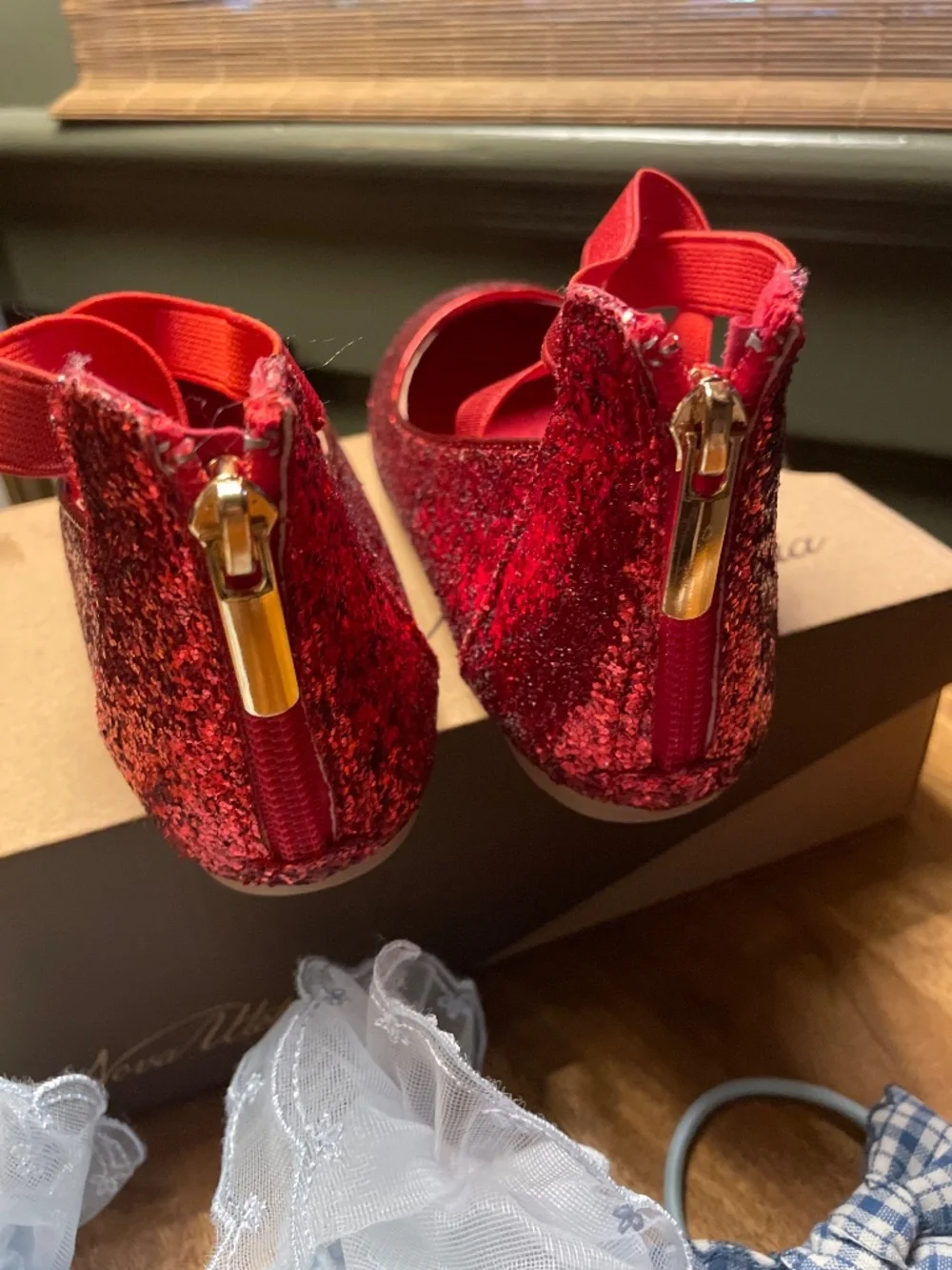 Dorothy from the Wizard of Oz costume essentials sz2 shoes
